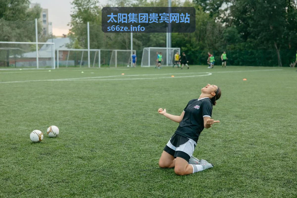 太阳集团贵宾网站 - 会员积分累积兑换服务